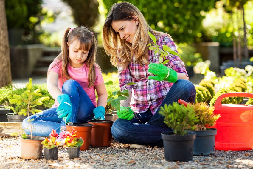 dry basement with gardening