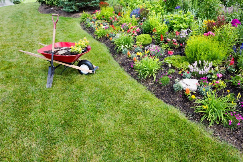 basement dry with gardening