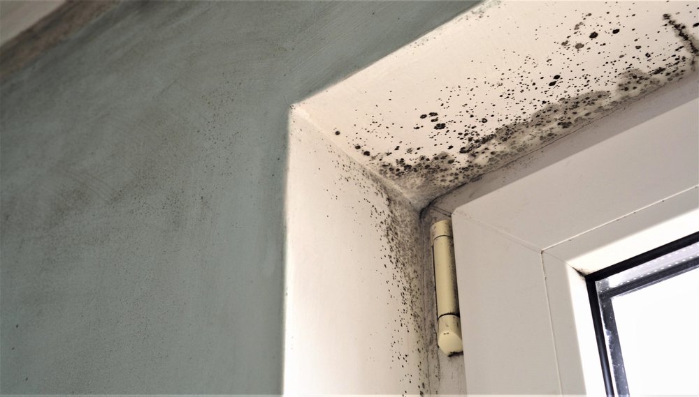 mold above door frame