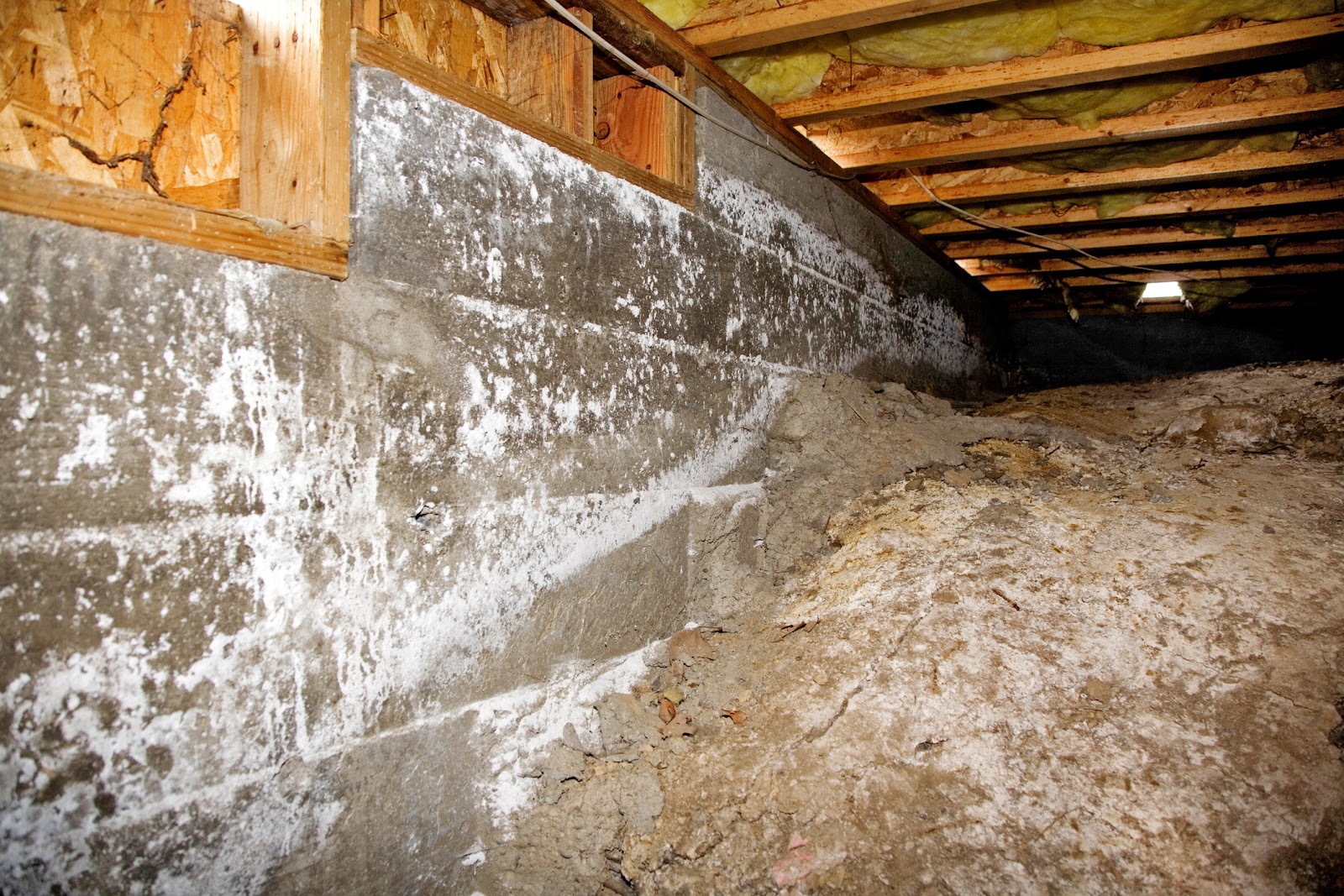 Dirt crawl space with exposed insulation and wood beams, showing signs of efflorescence on the concrete foundation wall.